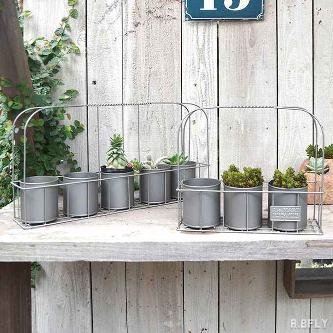 楽天市場 プランター 鉢 多肉植物 シンプル シルバー レトロ ポット ガーデニング インテリア シャビーテイスト エクステリア A Bfly ア ビーフライ