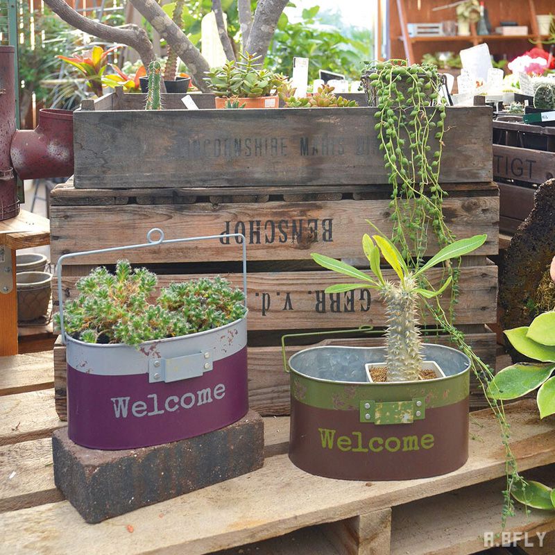 楽天市場】【S、Lセット】大小セット ガーデンポット プランター 鉢