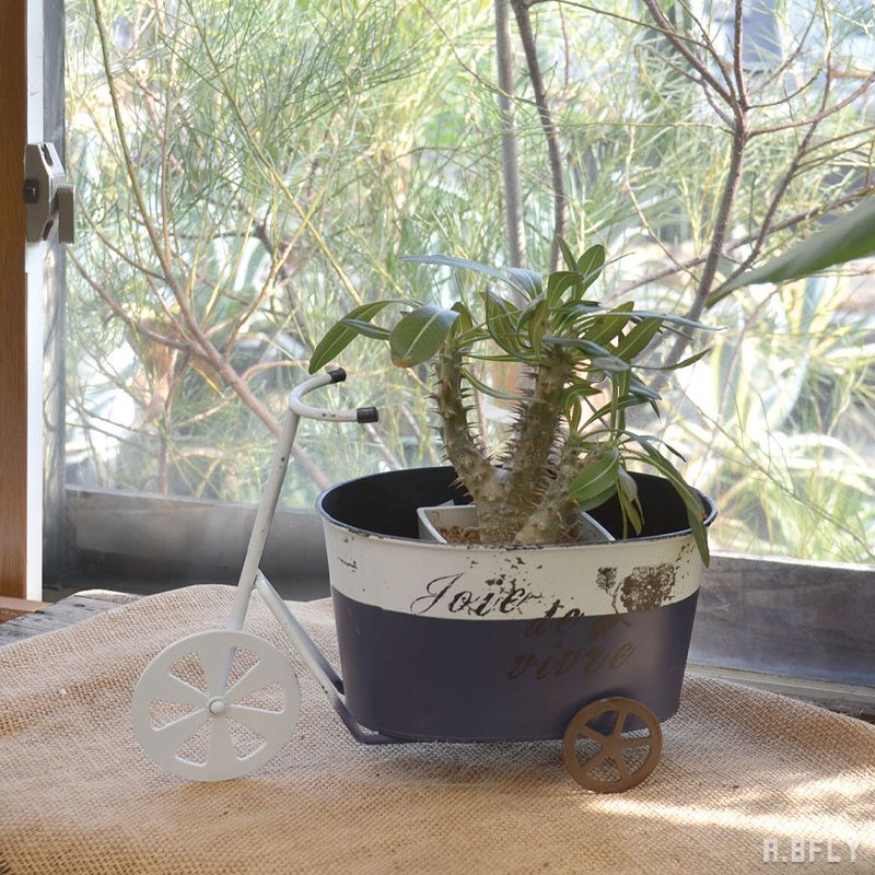 楽天市場】【S、Lセット】大小セット ガーデンポット プランター 鉢