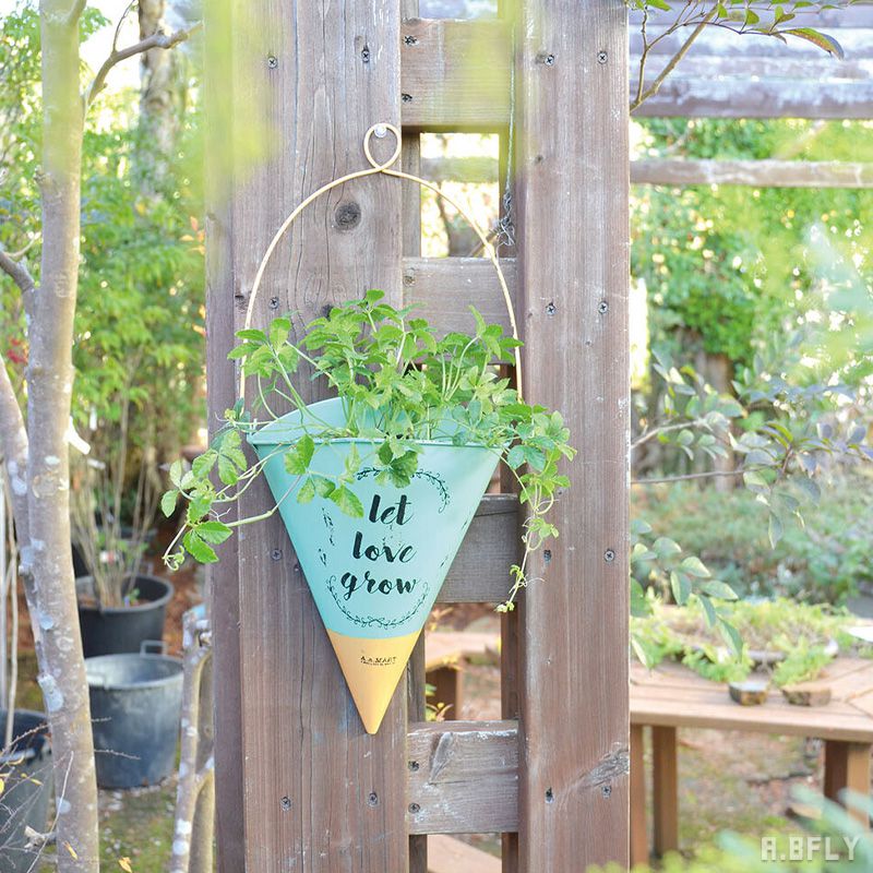 楽天市場】プランター ハンギング バードゲージ 鳥かご 鳥籠 多肉植物