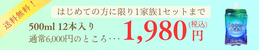 楽天市場】【浸みわたる水素水】 高濃度水素水 12本パック お試し 水素 