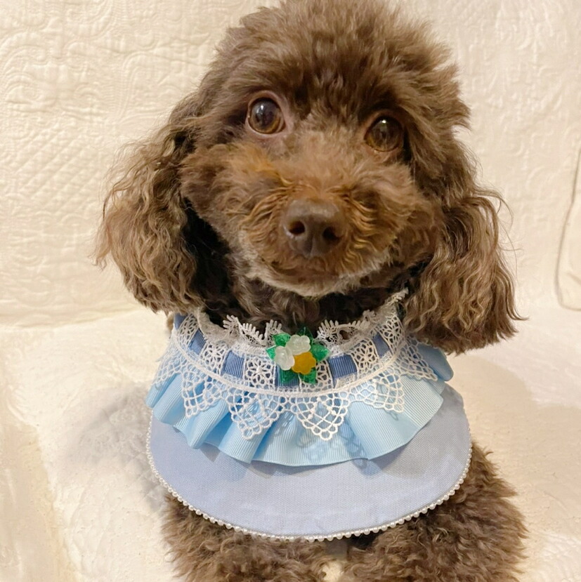 ゴールドとしろがね色は入り合わせる使い走りが旬！