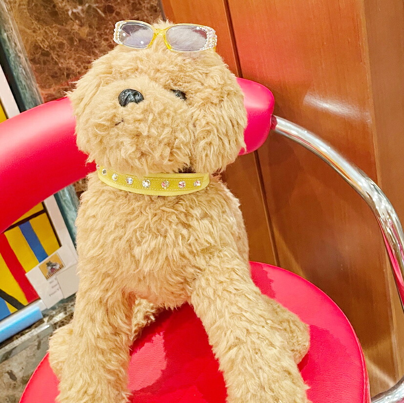良好品 Abiste アビステ 愛犬 愛猫用アクセサリー スクエアデコグラス Sサイズ モフモフファッショニスタ Mofumofu Fashionista ペット用サングラス Uvカット 小型犬 インスタ映え お洒落 写真 撮影用 イベント 小道具 お出かけ Sferavisia Hr 良好品 Abiste アビステ 愛犬 愛猫用アクセサリー スクエアデコグラス Sサイズ モフモフファッショニスタ Mofumofu Fashionista ペット用サングラス Uvカット 小型犬 インスタ映え お洒落 写真 撮影用 イベント 小道具 お出かけ Sferavisia Hr