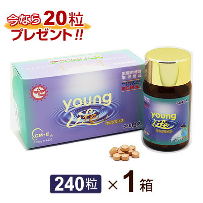 ono3pl　u60826018 REMAIN　YOUNG　リメインヤング imgrc0070311661.jpg