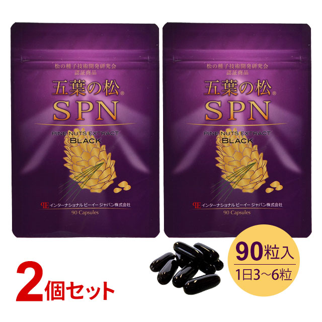 【ごお引き立て有りがたさ社会的運動特価!!】五葉の松 SPN 黒いこと（90粒）【2個書き割り】五葉松の粒 内果皮抽出エキス【全国貨物輸送無料(鳴らす郵便受け送りとどける)】【代引不可】ably