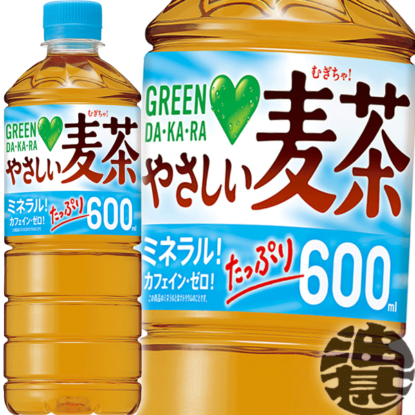 グリーン 人気 ダカラ 麦茶 水筒