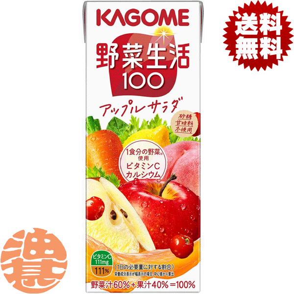 『４ケース送料無料！』（地域限定）カゴメ 野菜生活１００ アップルサラダ 200ml紙パック&times;４ケース96本(１ケースは24本入り)1食分の野菜 野菜ジュース※ご注文いただいてから４日～１４日の間に発送いたします。/ot/｜あぶらじんビバレッジ店