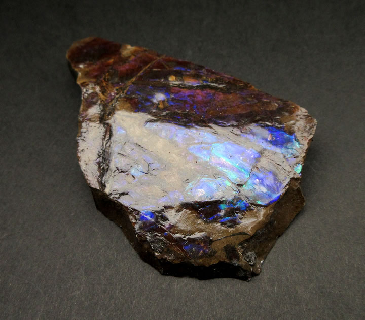 楽天市場】アンモナイト化石 レッドファイヤー 400g 化石