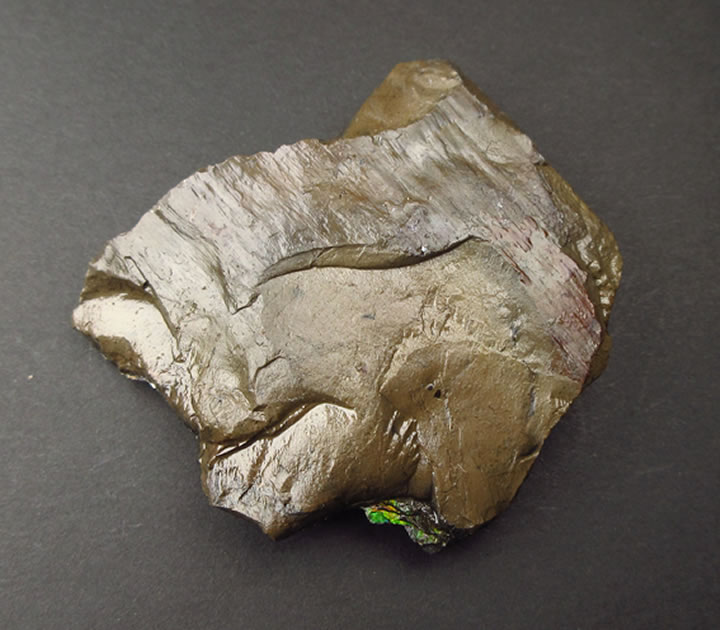 楽天市場】アンモナイト化石 レッドファイヤー 400g 化石 天然石