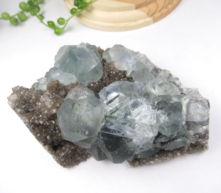 楽天市場】【一点物】【希少】【蛍光】ロジャリーフローライト 原石