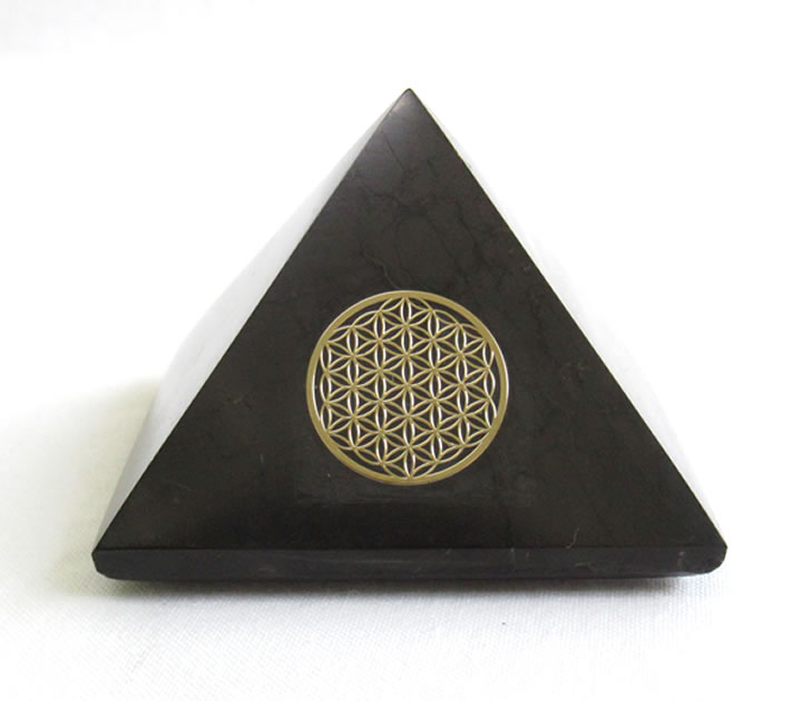 楽天市場】シュンガイト 無色刻印 30mm 1個 フラワーオブライフ/ツリー