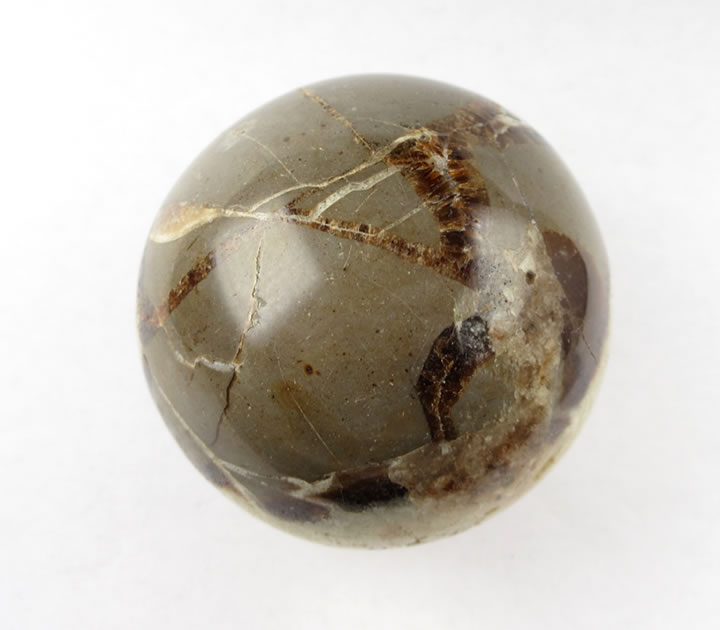 セプタリアン 特大サイズ卵 楽天市場】一点物 巨大 約66mm 403g セプタリアン エッグ