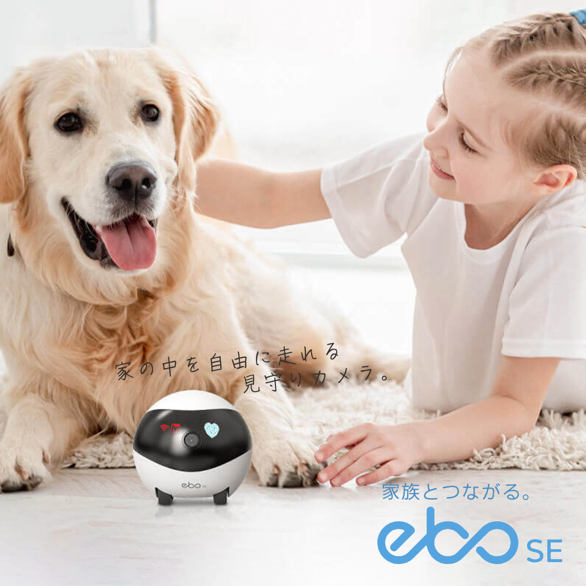 楽天市場】Enabot EBO SE ペットカメラ お友達ロボット スマート