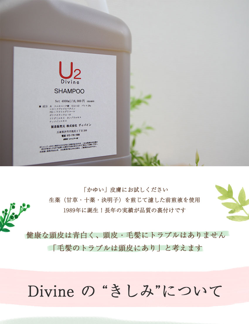 激安の 抜け毛 ふけ かゆみ 頭皮ケアに ディバイン ナノ シャンプー U2 4000ml ノンシリコンシャンプー オーガニックシャンプー スカルプ シャンプー クレンジングシャンプー シャンプー 美容室専売 かゆみ ふけ フケ 抜け毛 乾燥 地肌 敏感肌 頭皮 無香料 ノン