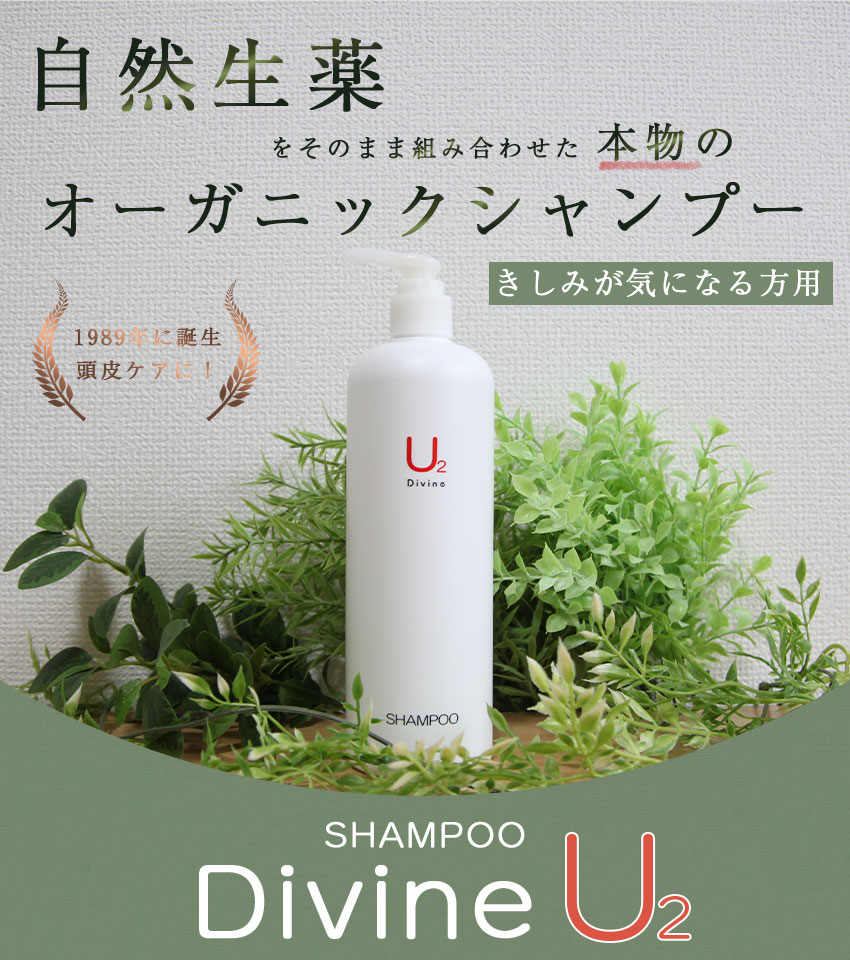 楽天市場 抜け毛 ふけ かゆみ 頭皮ケアに ディバイン ナノ シャンプー U2 500ml ノンシリコンシャンプー オーガニックシャンプー スカルプ シャンプー クレンジングシャンプー シャンプー 美容室専売 かゆみ ふけ フケ 抜け毛 乾燥 地肌 敏感肌 頭皮 無香料 ノン