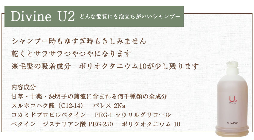 売れ筋 抜け毛 ふけ かゆみ 頭皮ケアに ディバイン ナノ シャンプー U2 4000ml ノンシリコンシャンプー オーガニックシャンプー スカルプシャンプー クレンジングシャンプー シャンプー 美容室専売 かゆみ ふけ フケ 抜け毛 乾燥 地肌 敏感肌 頭皮 無香料 ノン
