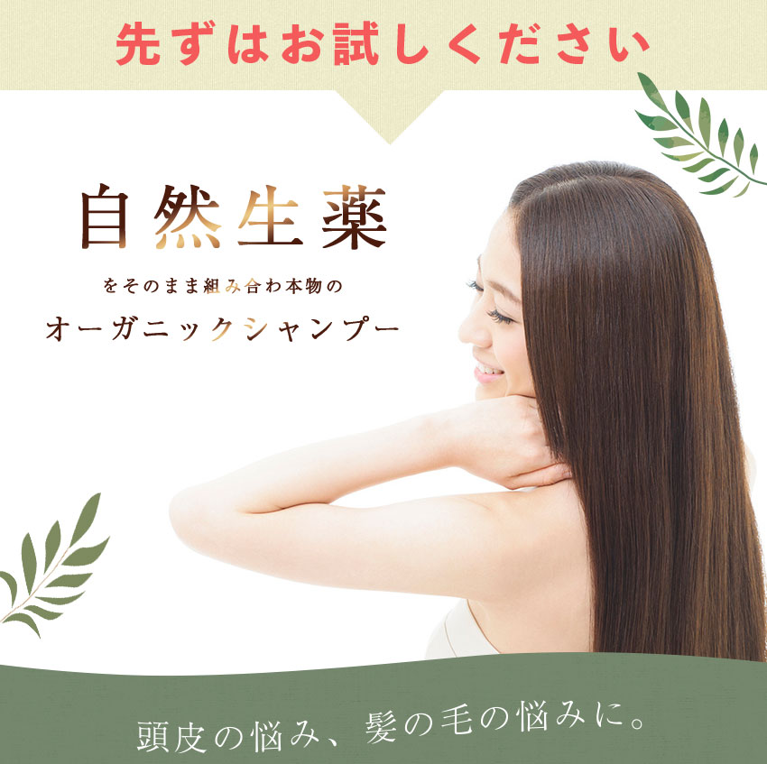 売れ筋 抜け毛 ふけ かゆみ 頭皮ケアに ディバイン ナノ シャンプー U2 4000ml ノンシリコンシャンプー オーガニックシャンプー スカルプシャンプー クレンジングシャンプー シャンプー 美容室専売 かゆみ ふけ フケ 抜け毛 乾燥 地肌 敏感肌 頭皮 無香料 ノン