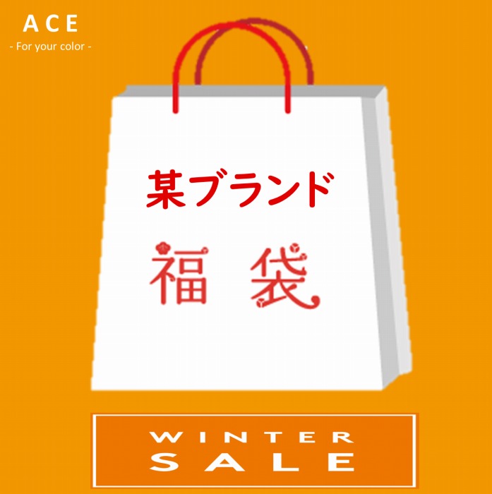 楽天市場 100個限定販売 某ブランド福袋 秋冬 4枚入り M L コート アウター 秋 冬 ブラウス シャツ カットソー ワンピース スカート パンツ Tシャツ 服 福袋 21 豪華福袋 レディース Ace