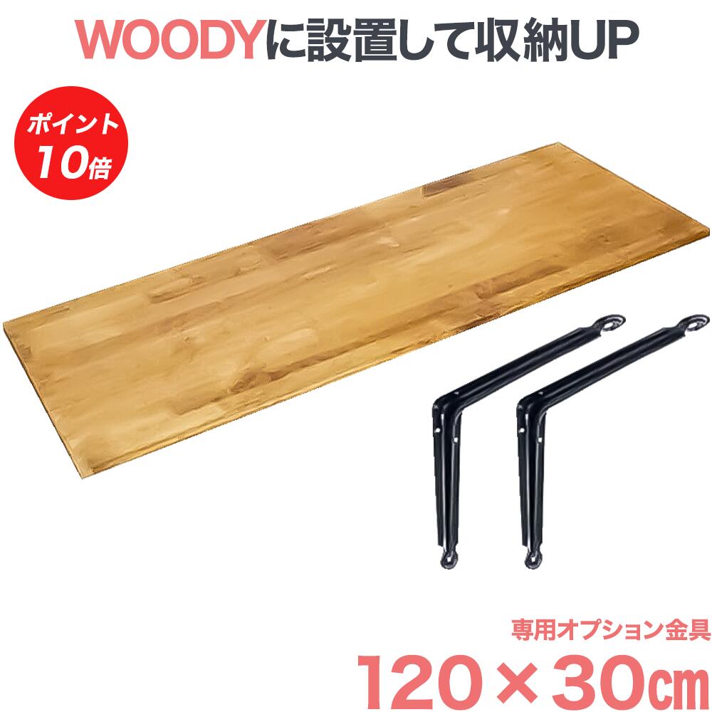 【百貨店SALE P10倍】 テレビ受像機 飾りつけ 金具 賃貸借契約 壁賦払金具 飾りつけテレビ受像機 テレビ受像機金具 貨物輸送無料 WOODY専用 棚板 オプション WDY-R12