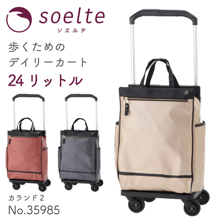 美品 送料無料ACE soelte ソエルテ キャリーバッグ 楽天市場】ACE soelte ソエルテ ノイ 小サイズ 23リットル