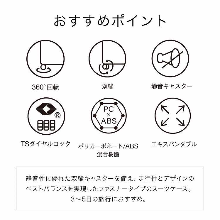 ACE「パリセイドZd」 3
