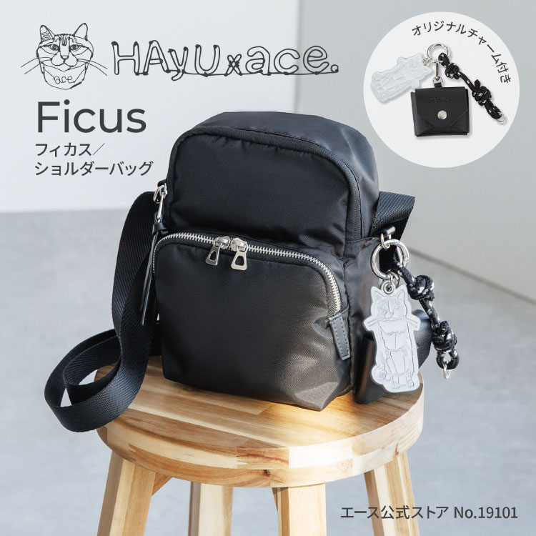 通貨価値決めなおす