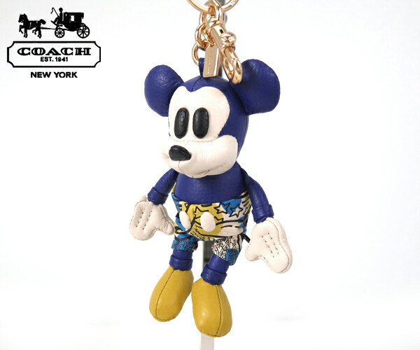 コーチMICKEY x KEITH HARING ストライプサングラスケース コーチMICKEY x KEITH HARING ストライプサングラスケース COACH