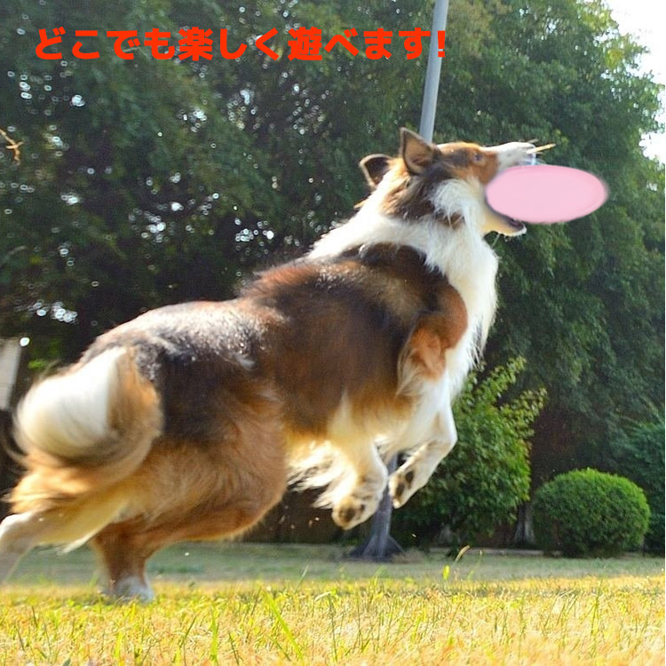 噛むおもちゃ,【送料無料】フリスビー,犬用,フリスビー,フリスビー,犬,フリスビー,犬用,フリスビーディスク,フライングディスク,犬用,スポーツディス,ディスク,ペット,犬用,投げるおもちゃ,犬用スポーツディスク,投げるおもちゃ,投げる,おもちゃ,ドッグ,犬用おもちゃ,ペ