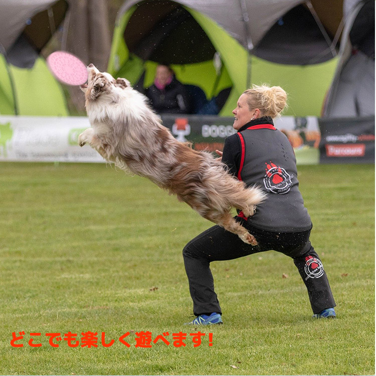 噛むおもちゃ,【送料無料】フリスビー,犬用,フリスビー,フリスビー,犬,フリスビー,犬用,フリスビーディスク,フライングディスク,犬用,スポーツディス,ディスク,ペット,犬用,投げるおもちゃ,犬用スポーツディスク,投げるおもちゃ,投げる,おもちゃ,ドッグ,犬用おもちゃ,ペ