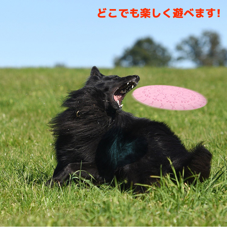 噛むおもちゃ,【送料無料】フリスビー,犬用,フリスビー,フリスビー,犬,フリスビー,犬用,フリスビーディスク,フライングディスク,犬用,スポーツディス,ディスク,ペット,犬用,投げるおもちゃ,犬用スポーツディスク,投げるおもちゃ,投げる,おもちゃ,ドッグ,犬用おもちゃ,ペ