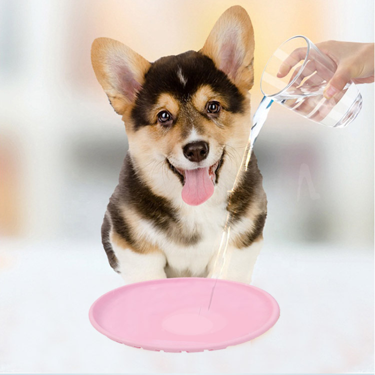 噛むおもちゃ,【送料無料】フリスビー,犬用,フリスビー,フリスビー,犬,フリスビー,犬用,フリスビーディスク,フライングディスク,犬用,スポーツディス,ディスク,ペット,犬用,投げるおもちゃ,犬用スポーツディスク,投げるおもちゃ,投げる,おもちゃ,ドッグ,犬用おもちゃ,ペ