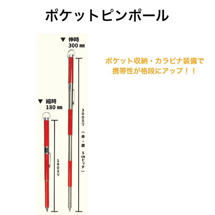 楽天市場】ポケットピンホール 10本セット アラオ | トラバーピン ピン