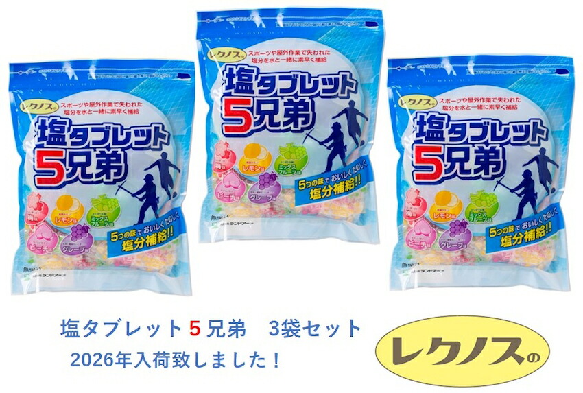 2026最新入荷 熱中症対策 3袋まとめ買い ランドアート 塩タブレット5兄弟 500g×3袋入 約555粒 塩飴 塩あめ 塩タブレット５兄弟 塩分補給 塩アメ