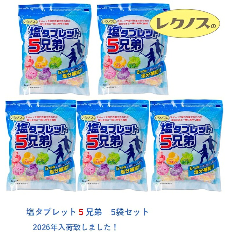 2026最新入荷 熱中症対策 5袋まとめ買い ランドアート 塩タブレット5兄弟 500g×5袋入 約925粒 塩飴 塩あめ 塩アメ 塩タブレット5兄弟 塩分補給|現場監督