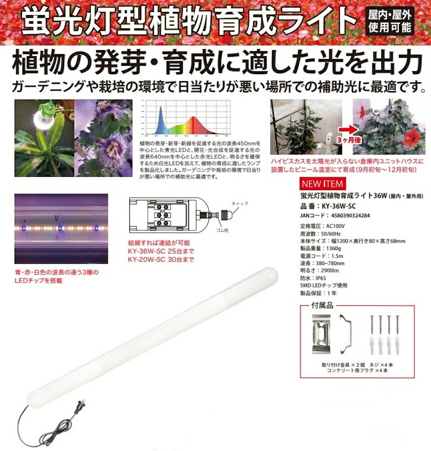 日本のお差し上げ物続きもの