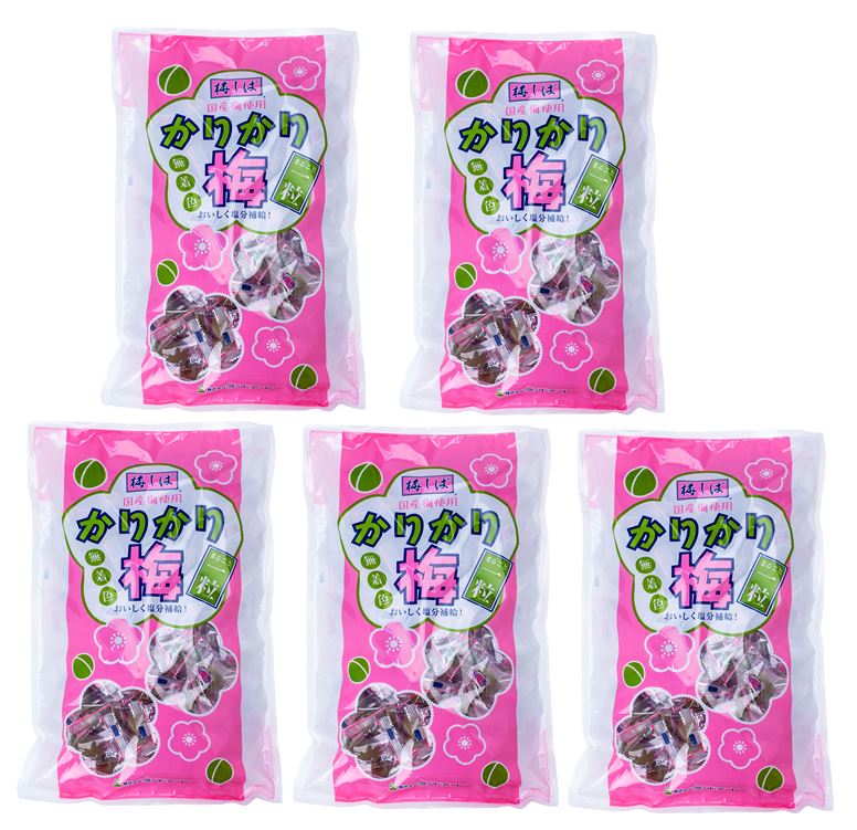 1箱まとめ買い 2025年最新入荷商品 熱中症対策 ランドアート 国産 かりかり梅 （800g入×5袋）熱中症対策 国産梅 塩分補給 個包装タイプ 現場作業