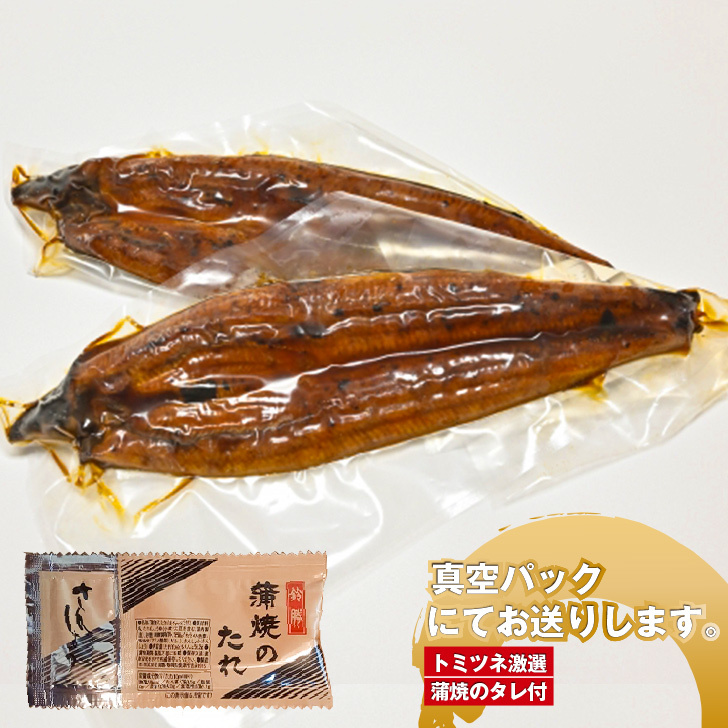 特大うなぎ 尾750g 鰻 売切れ前に 7280円送料無料 にほんうなぎ長焼き3尾セット 大750g前後3尾 3 人前 蒲焼き 築地 魚河岸 ウナギ 鰻 食べ物 プレゼント Butlerchimneys Com