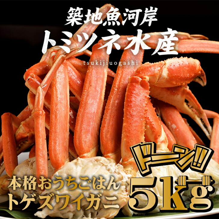 てて親の昼間 お土産 豊洲直送 メガ盛 トゲズワイガニ 5kg 煮立てる おうちごはん かに ずわいがに 竹帛ズワイカニ カニ鍋 蟹鍋 焼きガニ 焼き蟹 ボイルガニ ボイル蟹 送料無料 父の日 ギフト 豊洲直送 メガ盛 トゲズワイガニ 5kg ボイル おうちごはん かに ずわいがに 本