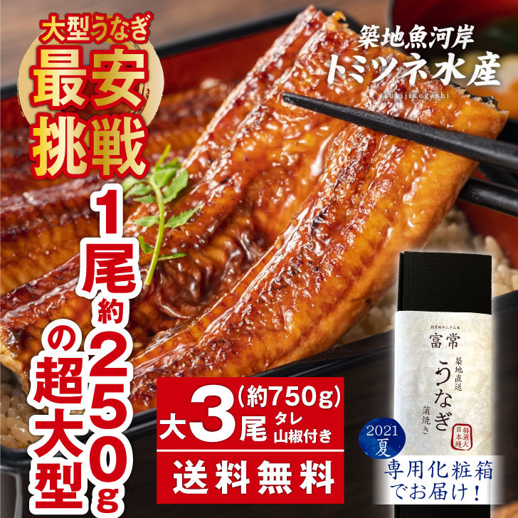 特大うなぎ 尾750g 鰻 売切れ前に 7280円送料無料 にほんうなぎ長焼き3尾セット 大750g前後3尾 3 人前 蒲焼き 築地 魚河岸 ウナギ 鰻 食べ物 プレゼント Fmcholollan Org Mx