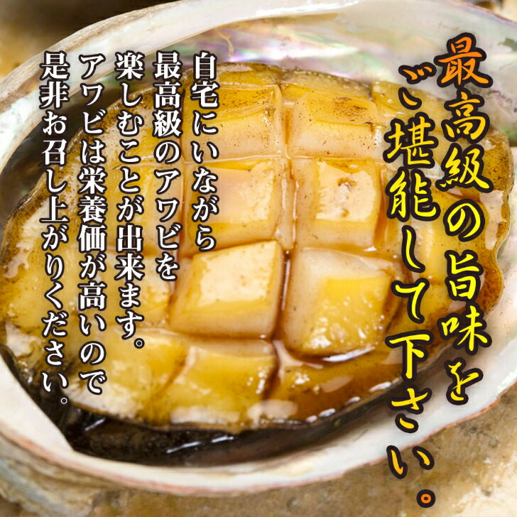 国産 北海道産乾燥あわび 魚介類 あわび アワビ 鮑 魚貝類 乾燥あわび 中国の三大食材の1つ乾鮑カンパオ 積丹半島一帯で漁獲されたあわび アワビ 旨みと甘みの強いえぞ鮑 乾燥鮑 Msselectronics Gr