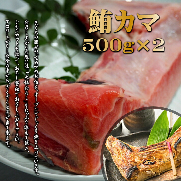 御中元 分け有り まぐろ 希少部位 特殊部位セット 鮪テール 鮪ホホ肉 鮪脳天 鮪カマ まぐろテール まぐろホホ肉 まぐろ脳天 まぐろカマ カマ焼き お得 送料無料 Rvcconst Com