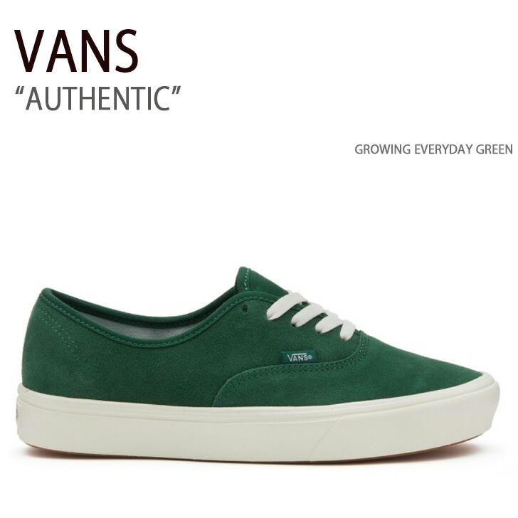 楽天市場】VANS バンズ スニーカー AUTHENTIC ICEBERG GREEN