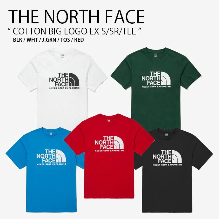 [THE NORTH FACE]★韓国大人気★MINI LOGO DYED L/S R/TEE tnf-nt7un19jkl.jpg