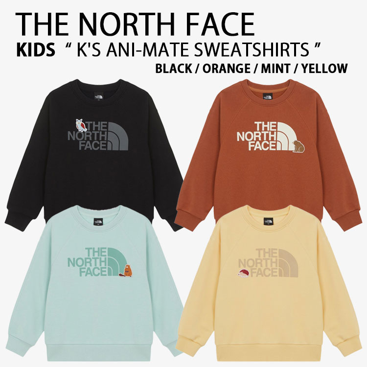 THE NORTH FACE 北の方人間の顔 キッズ 調教師 K\u0027S ANI-MATE SWEATSHIRTS アニ-メイト トレーナー 長袖 労働者の一団素っ首 ロゴタイプ 心地好い 御坊っちゃん うしろ帯 赤ちゃん用 NM5MR55S/T/U/V【中古】未当て嵌める品