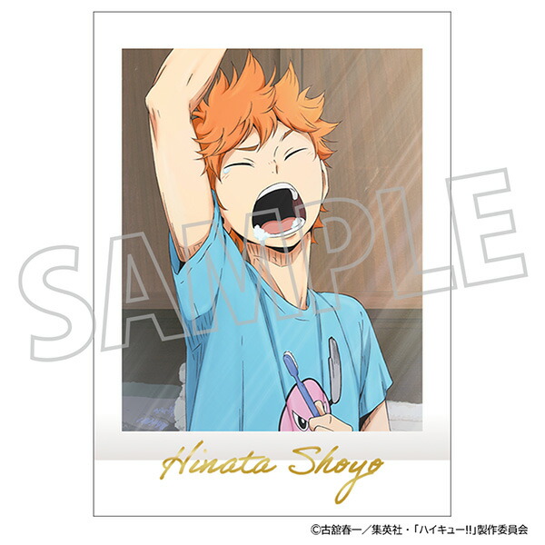 楽天市場】【BOX販売】ハイキュー!! ゴミ捨て場の決戦 グッズ ぱしゃ