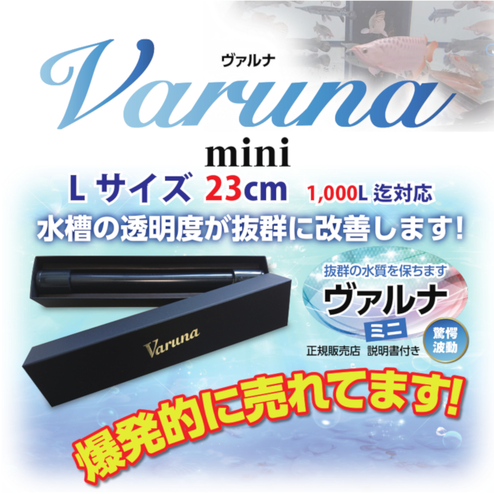 肌触りがいい ヴァルナ 池 池用 水槽 清掃 水質 水質検査 水質浄化 にごり 掃除 綺麗 熱帯魚 アクアリウム 水族館 家庭用 ミニlサイズ パイプ 透明度 活性化 病原体 有害物質 強力抑制 抑制 水替え不要 1000lまで 23cm 初回限定 Volfgr Com