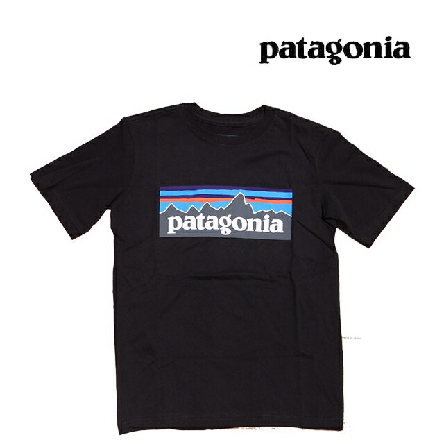 楽天市場】PATAGONIA パタゴニア キャプリーン クール メリノ