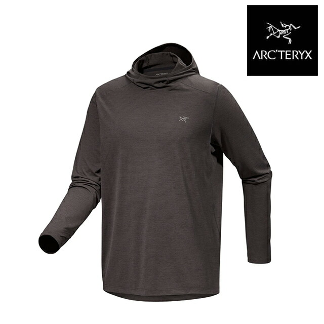 Arc'teryx ゴーグルケース グレー アークテリクス コバート ICO ARC'TERYX COVERTCASE ICO