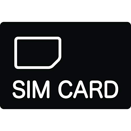 キングジム ワールドスピーク グローバル対応SIMカード 3GB GS-3