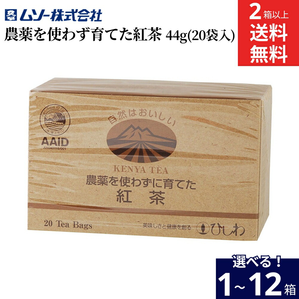「菱の実」　SONO nezumimoti.jpg